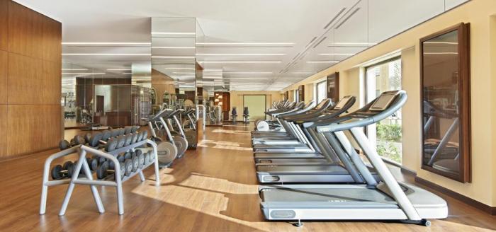 Fairmont The Palm, Dubai - Gym